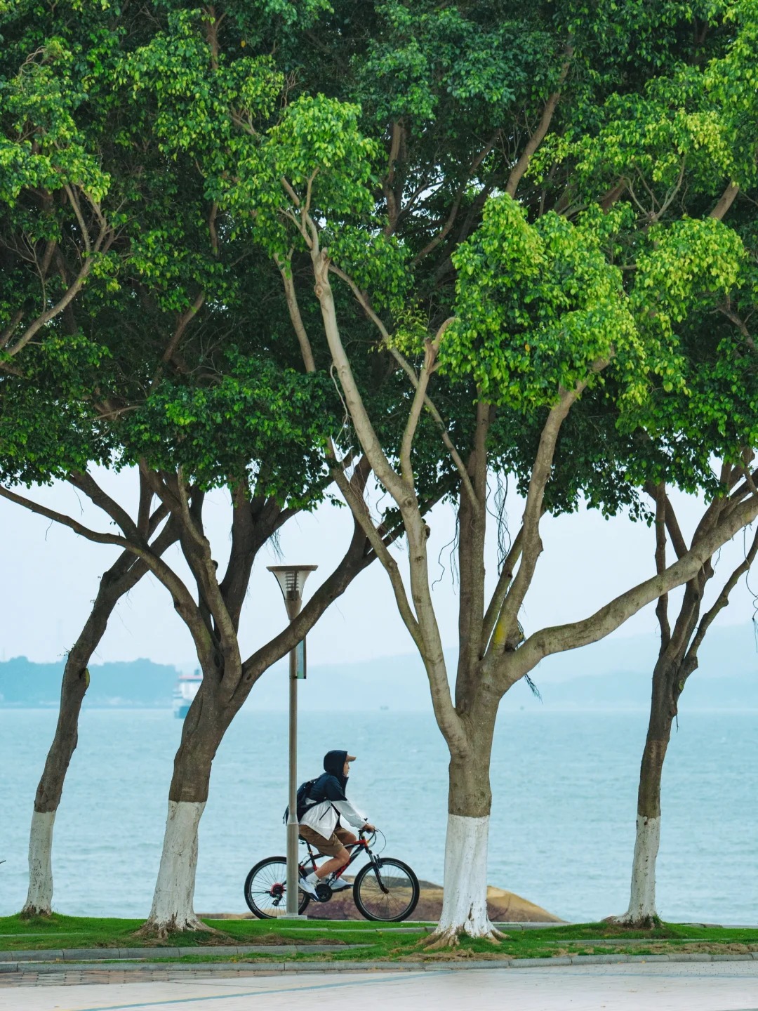 Island Ring Road Cycling